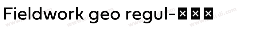 Fieldwork geo regul字体转换